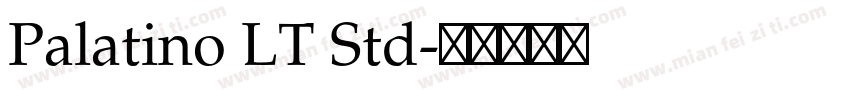 Palatino LT Std字体转换